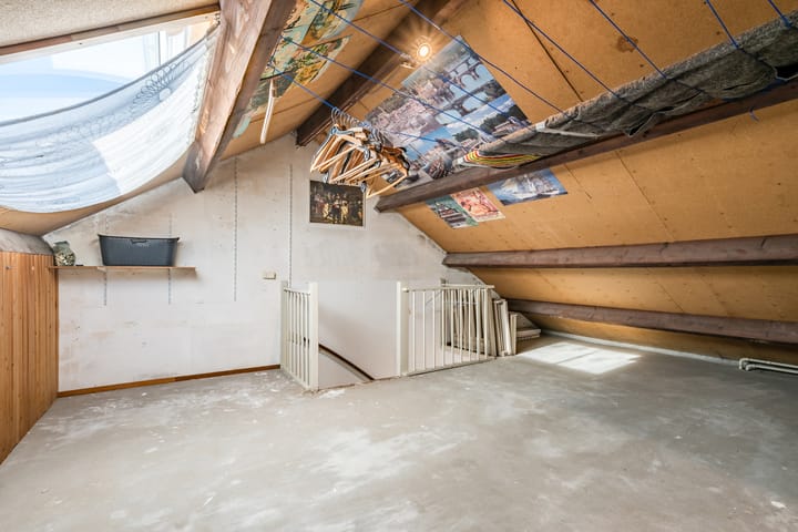 Foto 39 van Fluitekruid 11