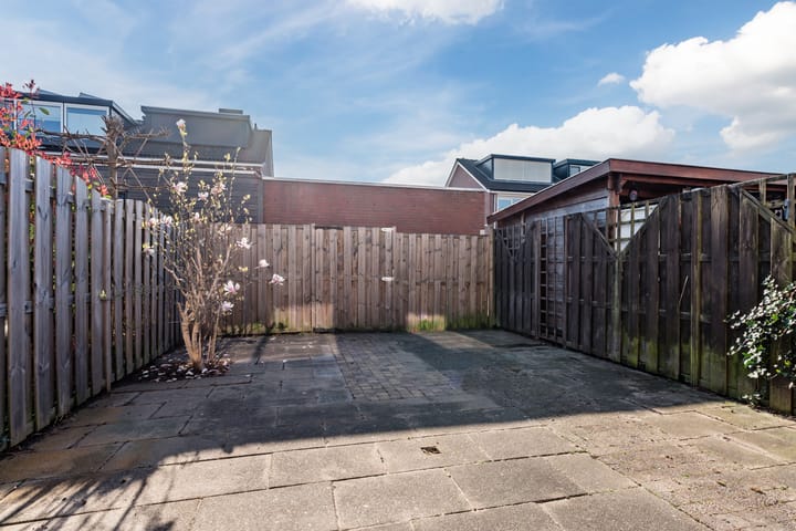 Foto 41 van Fluitekruid 11