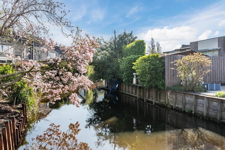 Foto 46 van Fluitekruid 11