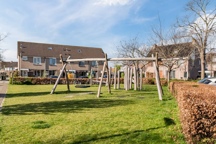 Foto 47 van Fluitekruid 11