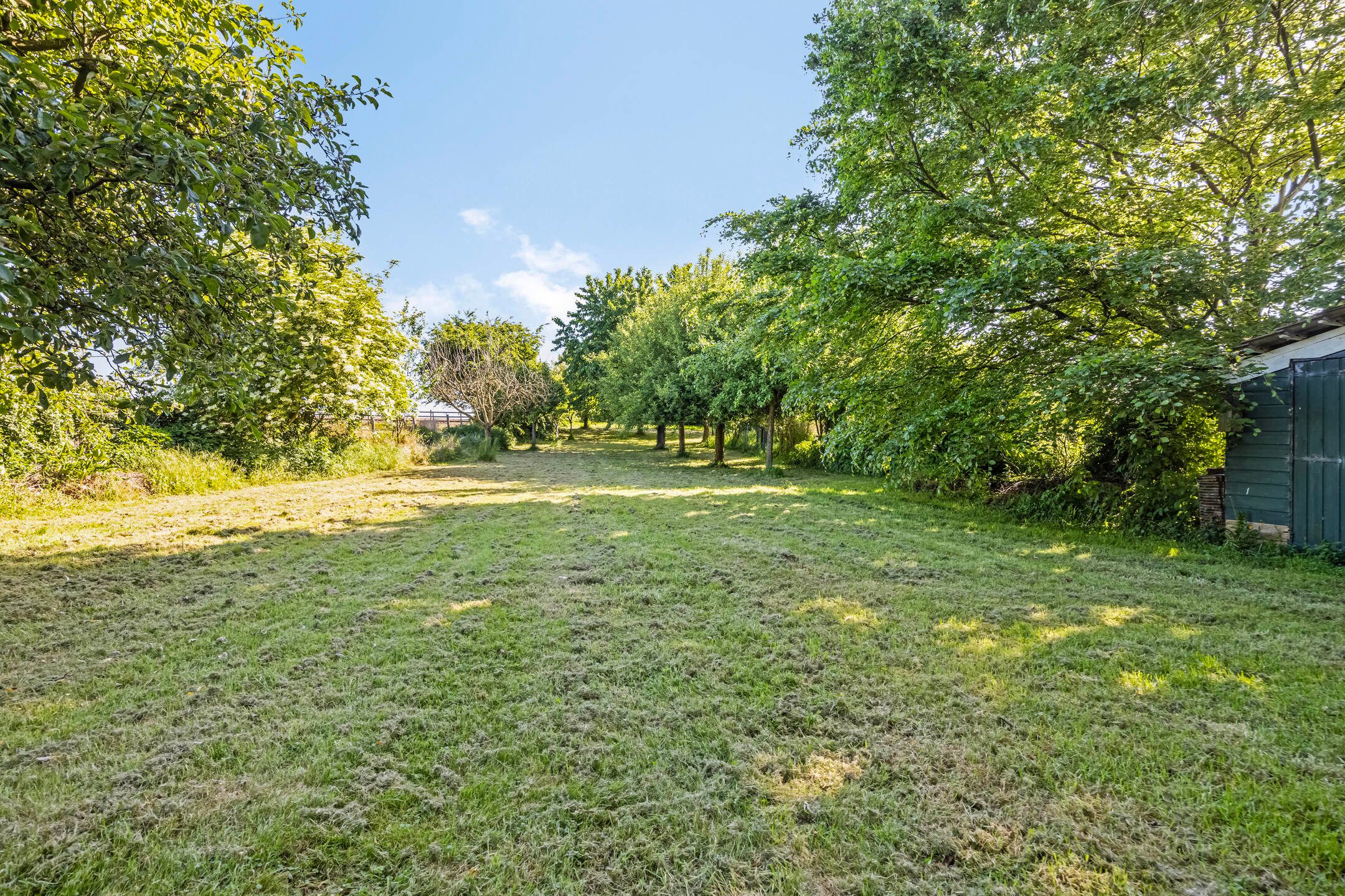 Foto 36 van Eindstraat 31