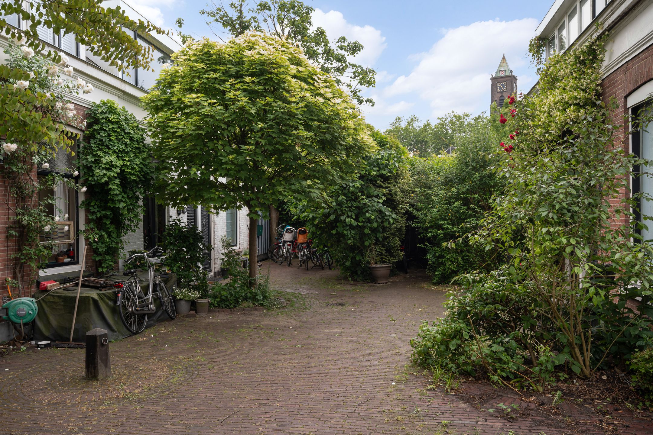 Foto 3 van Vriesepoortshof 17