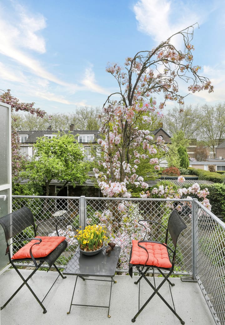 Photo 5 of Hertog Janstraat 36