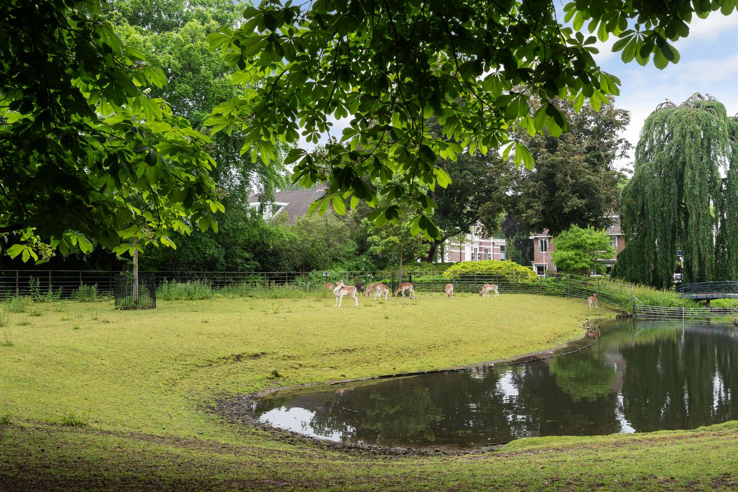 Foto 40 van Vriesepoortshof 17