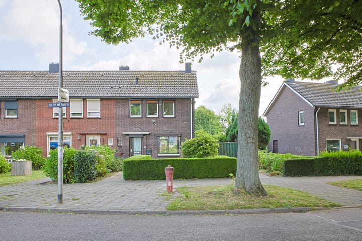 Foto 3 van Bloemenweg 14