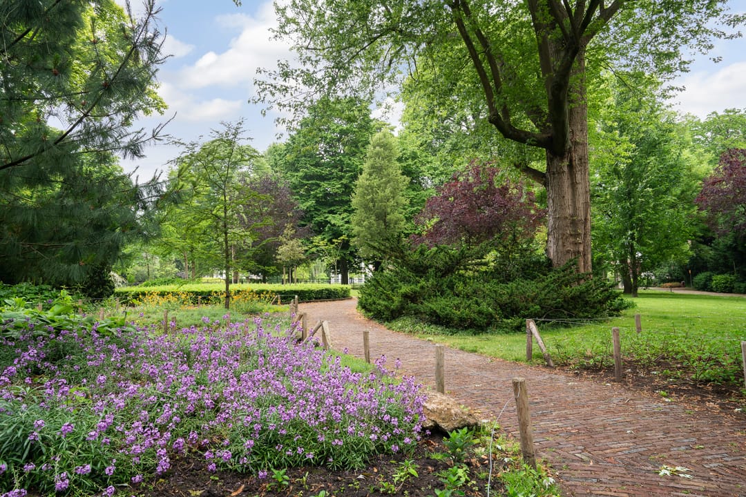 Foto 41 van Vriesepoortshof 17