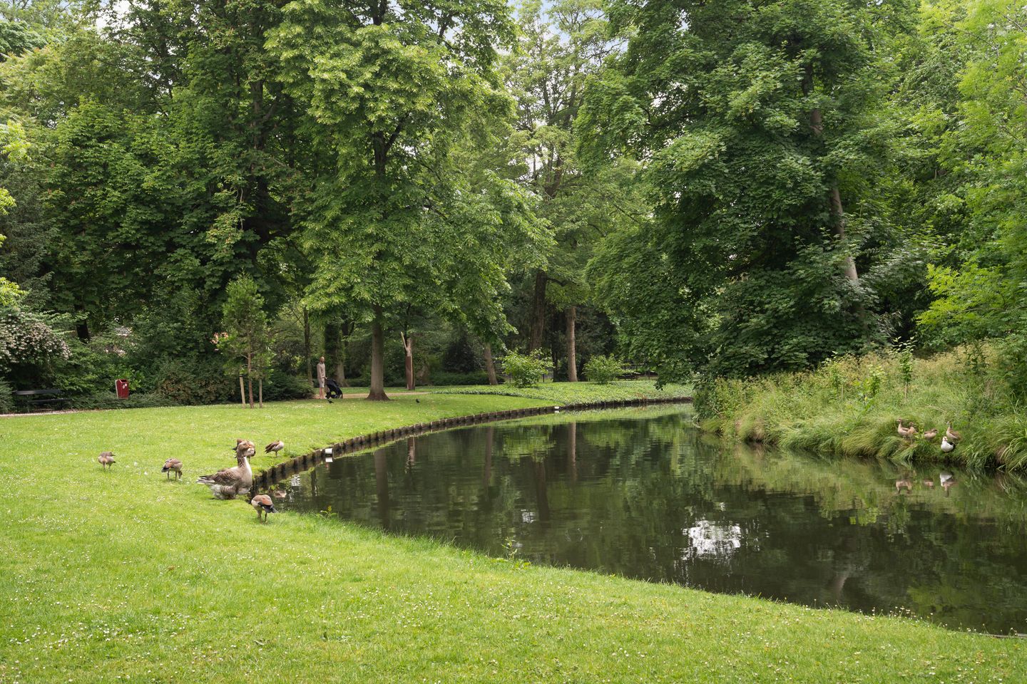 Foto 44 van Vriesepoortshof 17