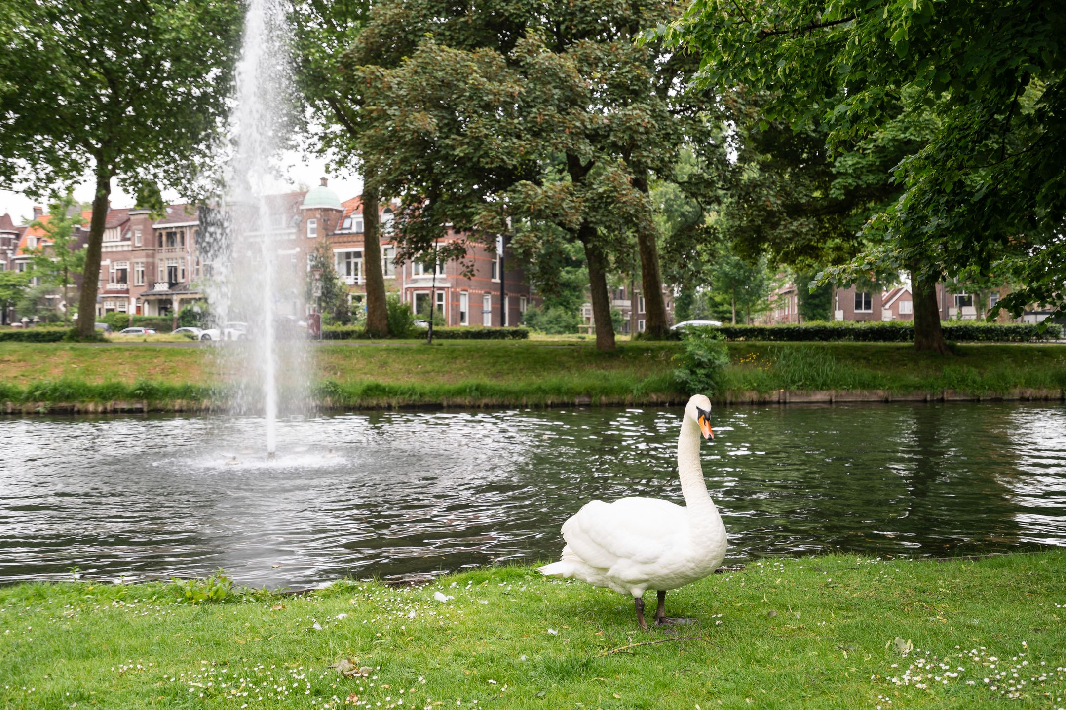 Foto 45 van Vriesepoortshof 17