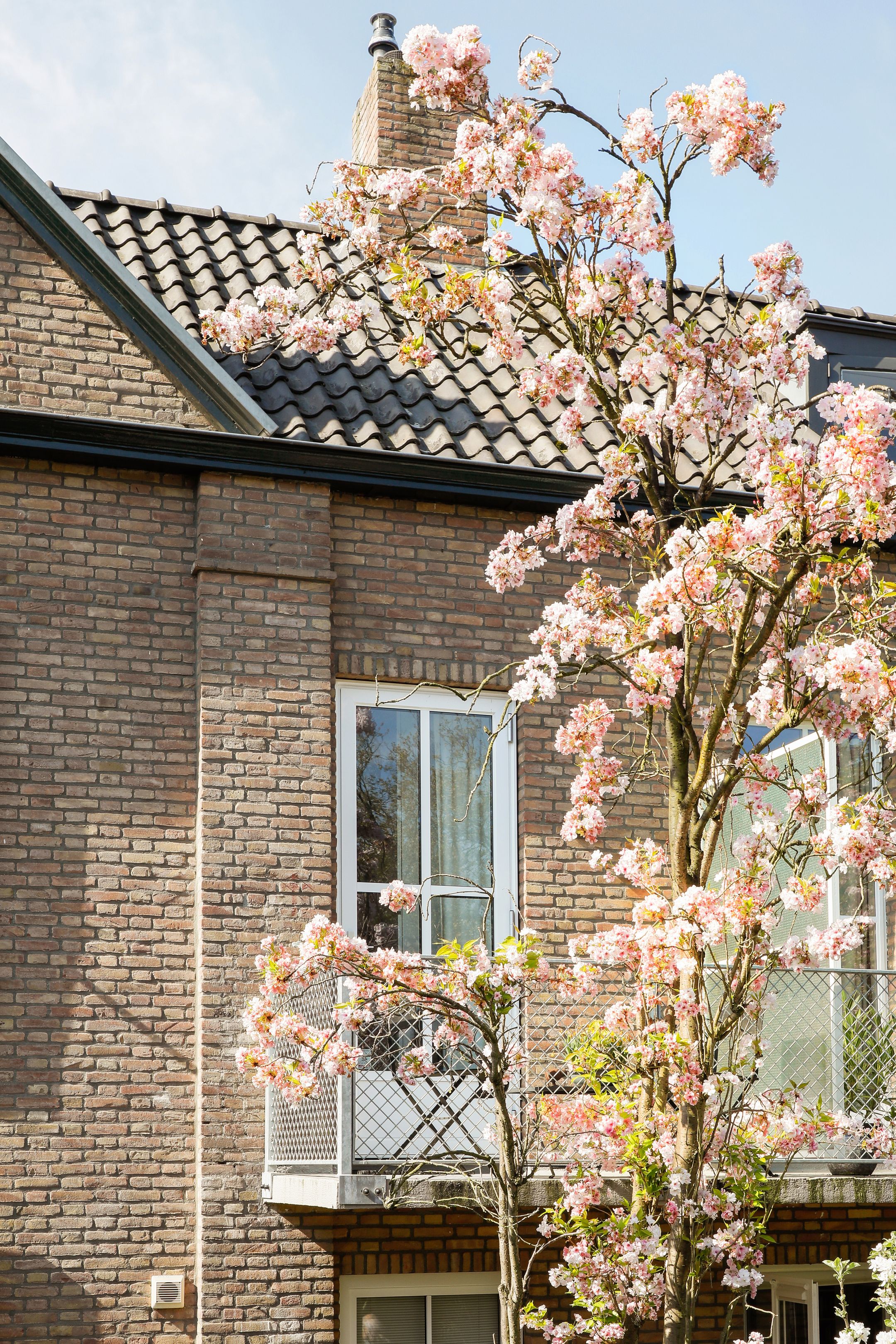 Foto 30 van Hertog Janstraat 36