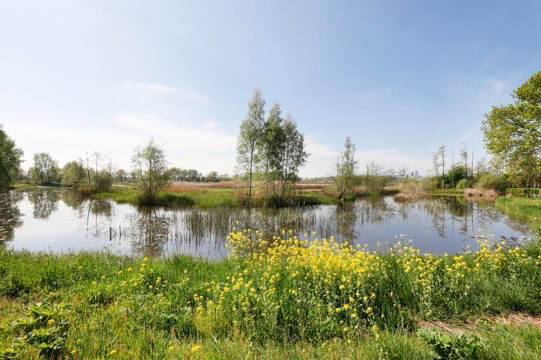 Foto 32 van Hertog Janstraat 36