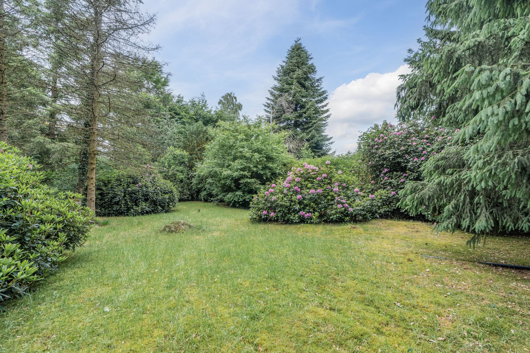 Foto 48 van Vinklaan 29