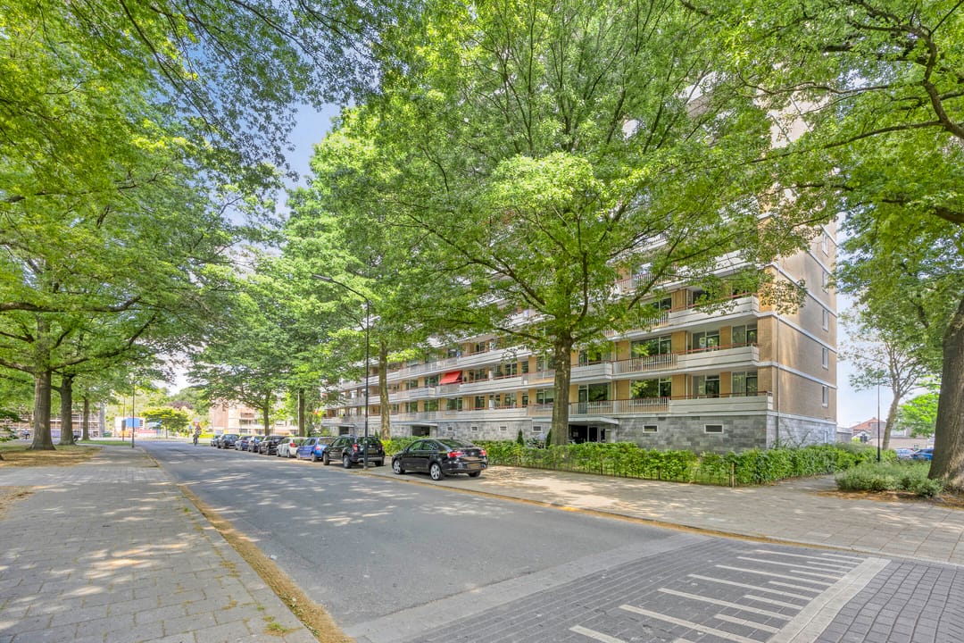 Foto 1 van Henri Dunantlaan 159