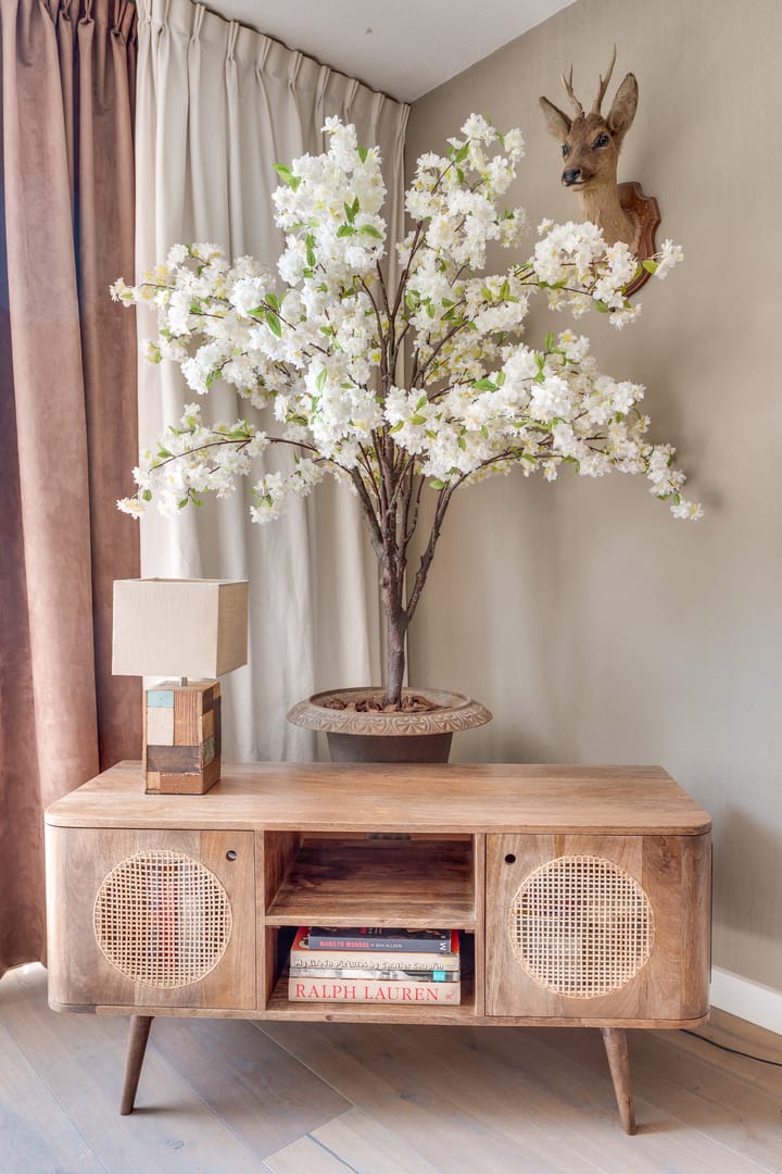 Foto 19 van Rigoletto 31