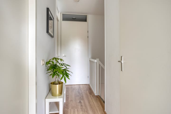 Photo 22 of Bladwesp 8