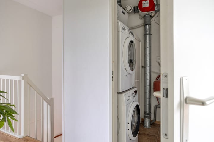 Photo 30 of Bladwesp 8