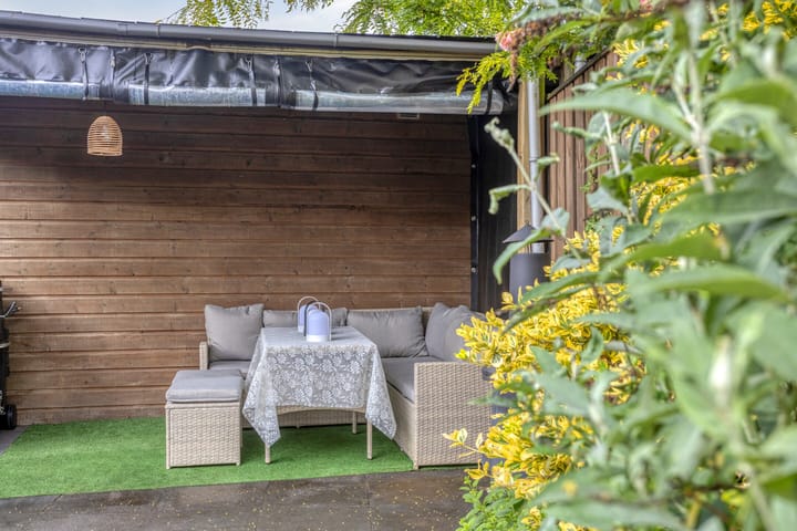 Photo 20 of Bladwesp 8