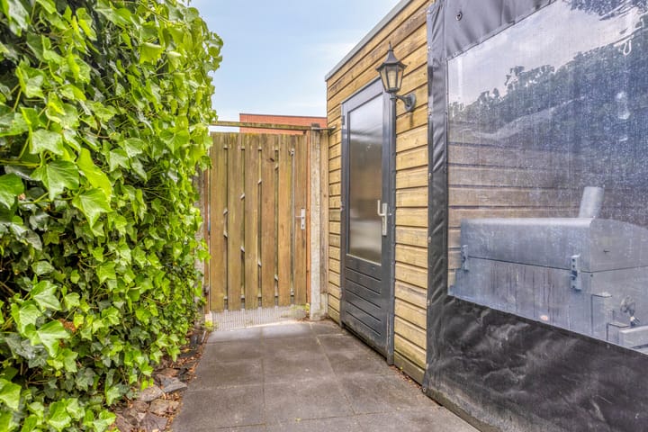 Photo 18 of Bladwesp 8