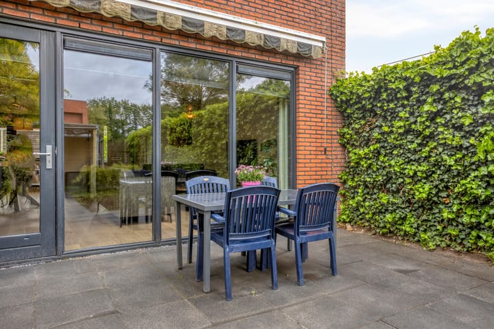 Photo 21 of Bladwesp 8