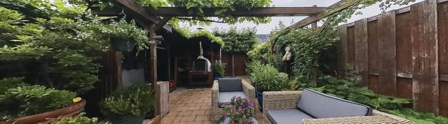 Achtertuin
