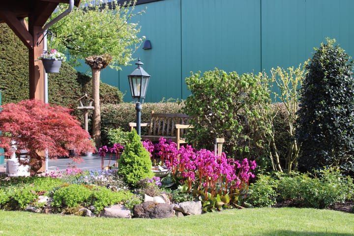 Foto 9 van Heerewegh 40