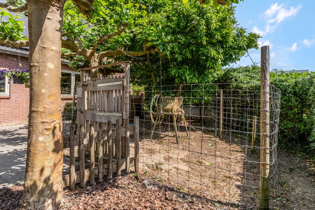 Foto 46 van Schoolstraat 17