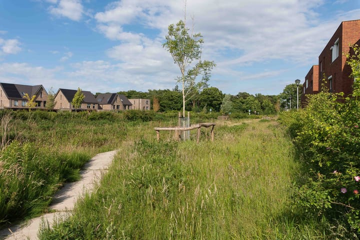 Foto 53 van Zenderenstraat 23