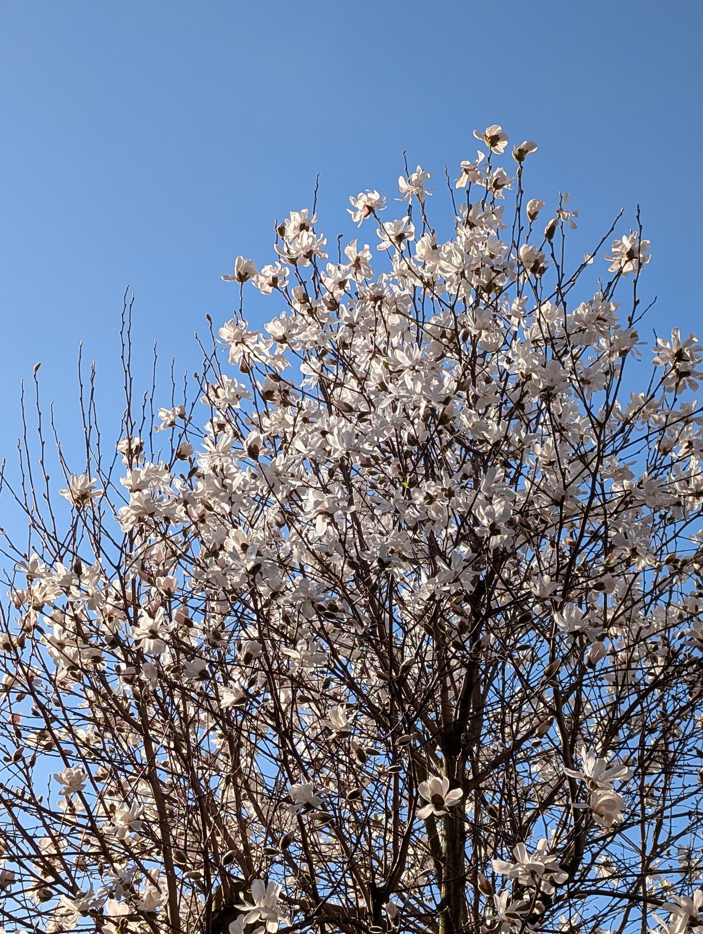 Foto 14 van Loudonstraat 16