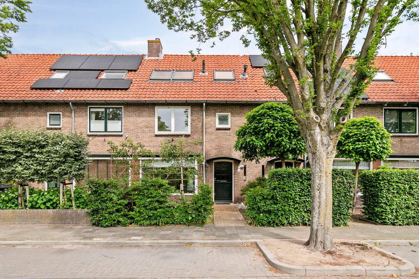 Pieter Postlaan 50 main image