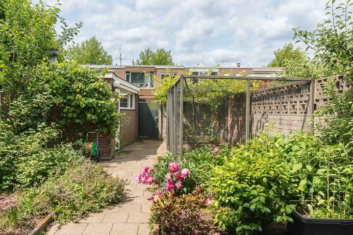 Foto 4 van De Savornin Lohmanstraat 13