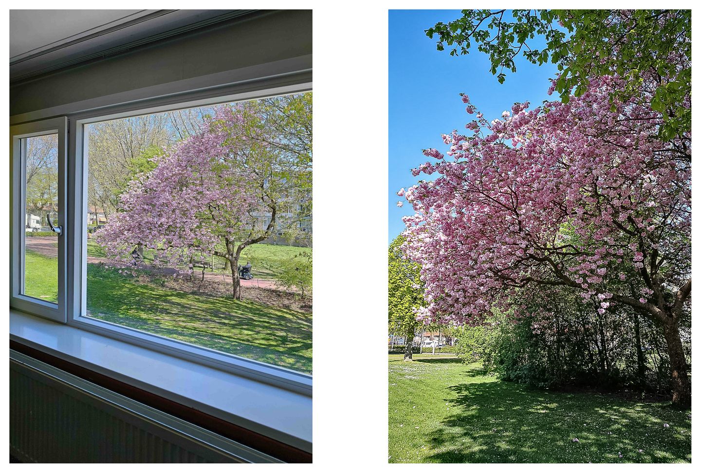 Foto 25 van De Savornin Lohmanstraat 13