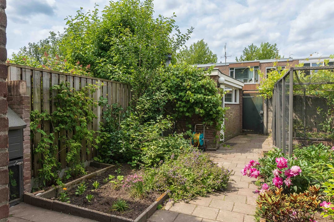 Foto 32 van De Savornin Lohmanstraat 13