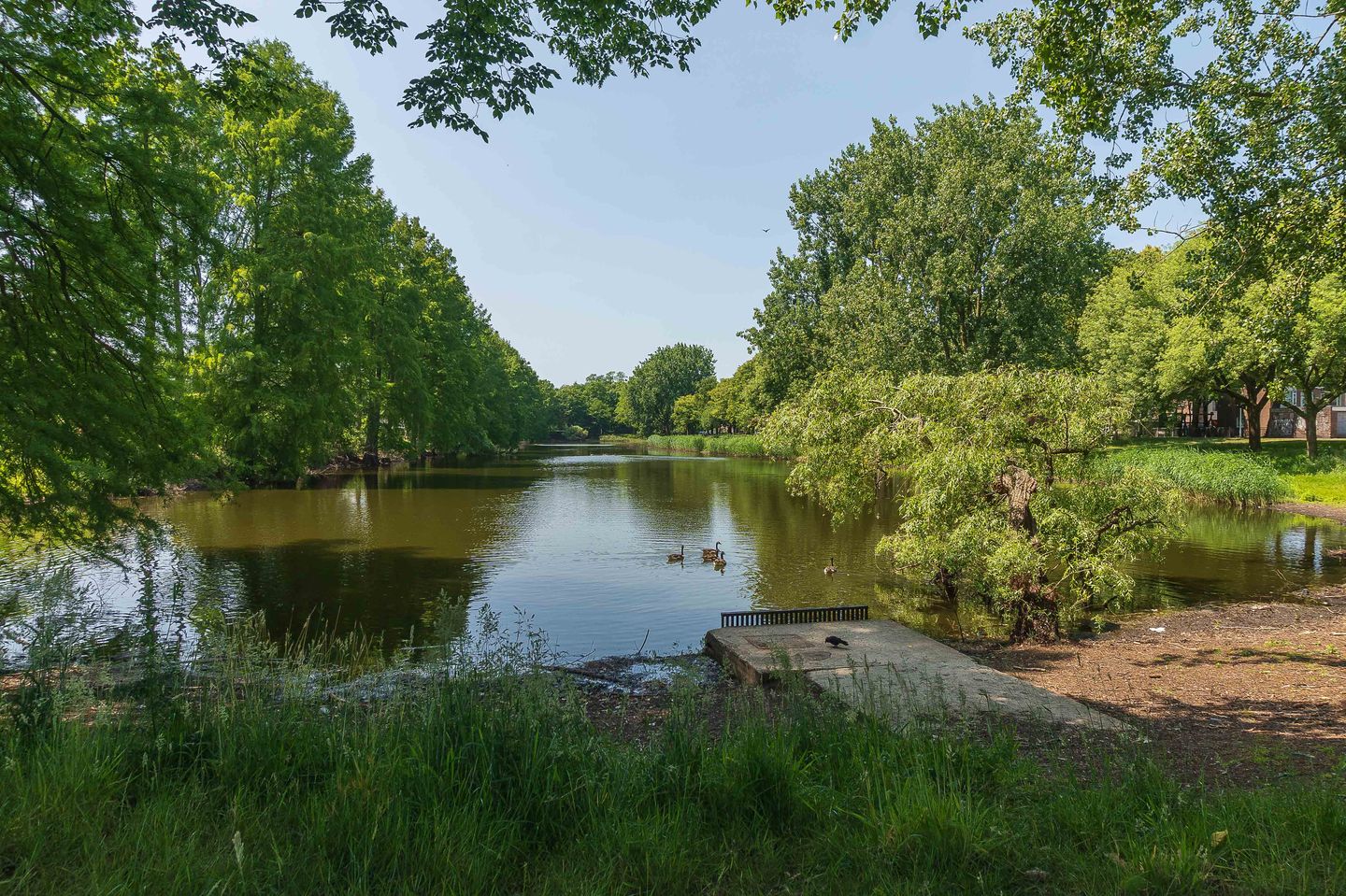 Foto 40 van De Savornin Lohmanstraat 13