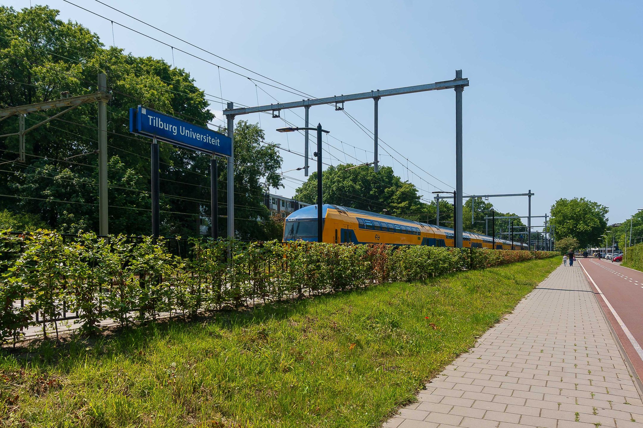 Foto 42 van De Savornin Lohmanstraat 13