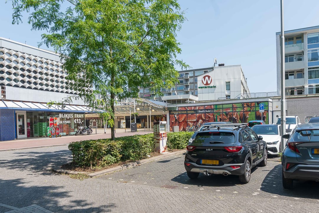 Foto 43 van De Savornin Lohmanstraat 13