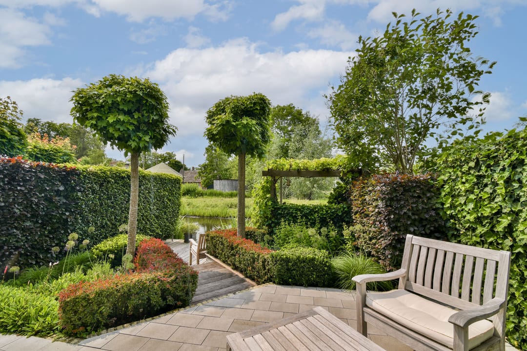 Foto 32 van van Dethstraat 20