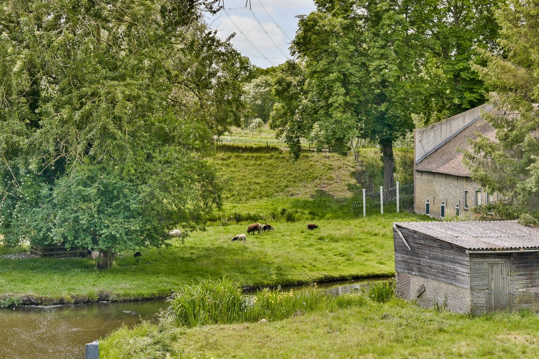 Foto 38 van van Dethstraat 20