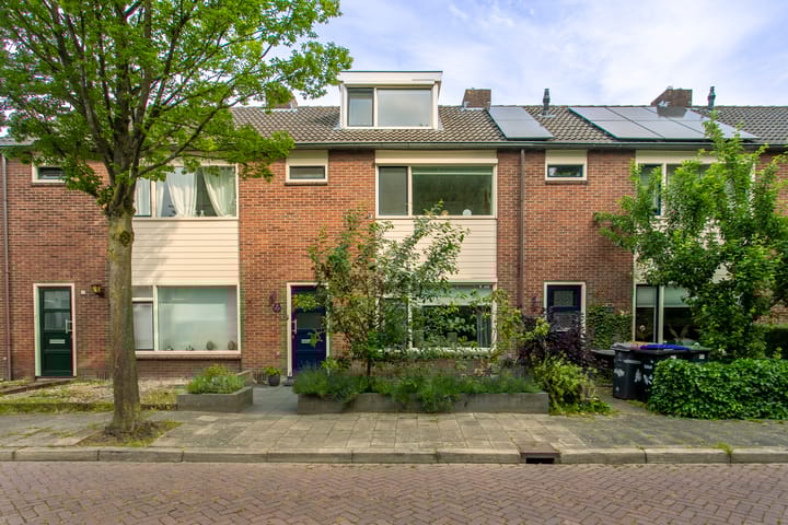 undefined main image