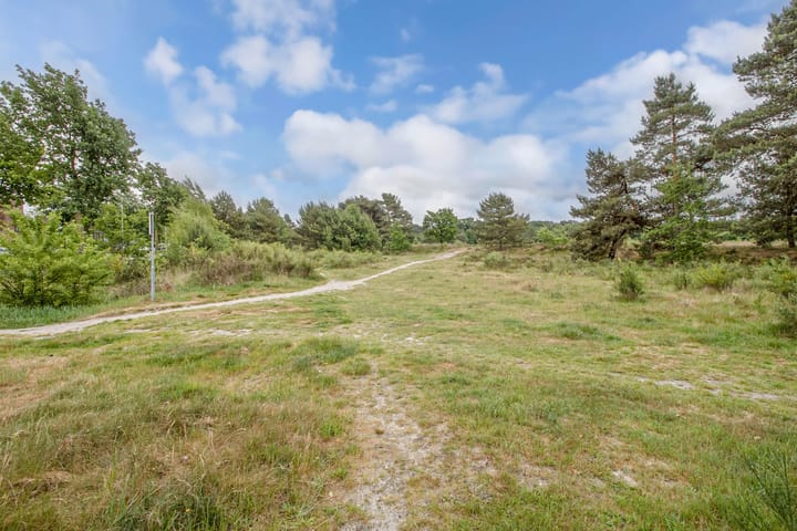 Foto 34 van Witbrantlaan West 33