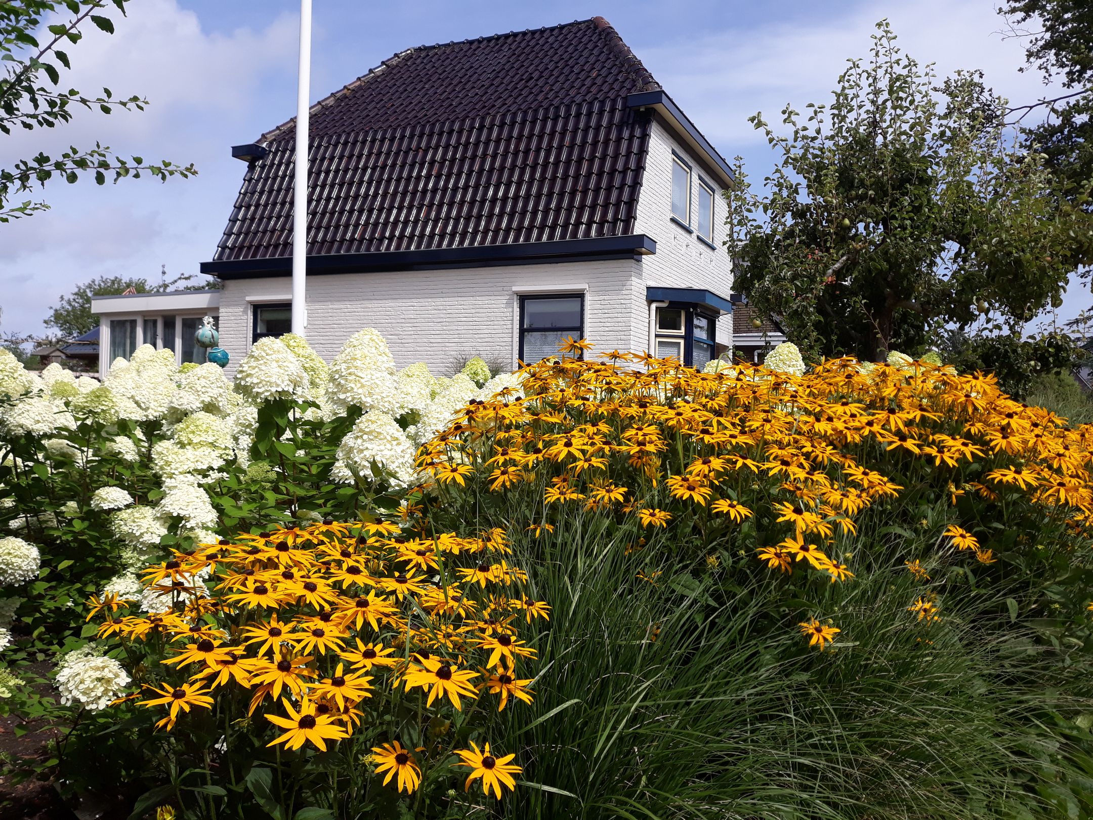 Foto 12 van Harlingerstraatweg 70