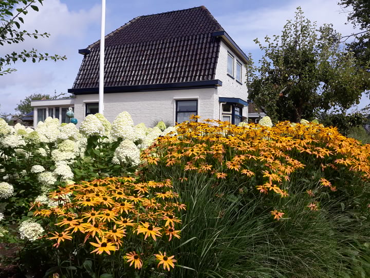 Foto 12 van Harlingerstraatweg 70