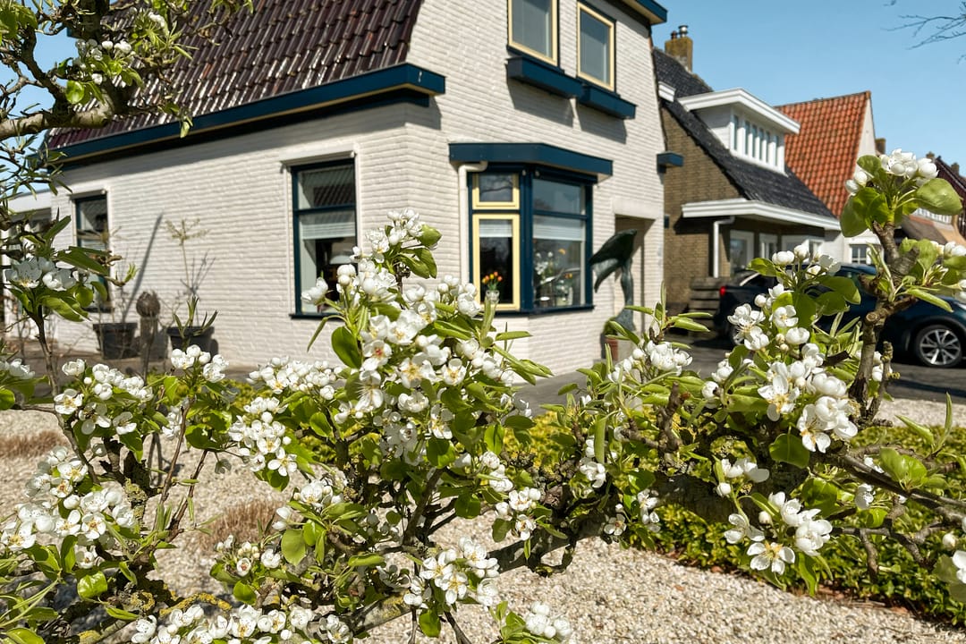 Foto 13 van Harlingerstraatweg 70