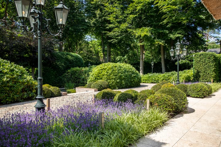 Foto 10 van Oranje Nassaulaan 6