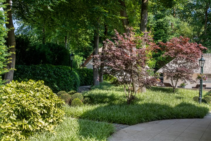 Foto 38 van Oranje Nassaulaan 6