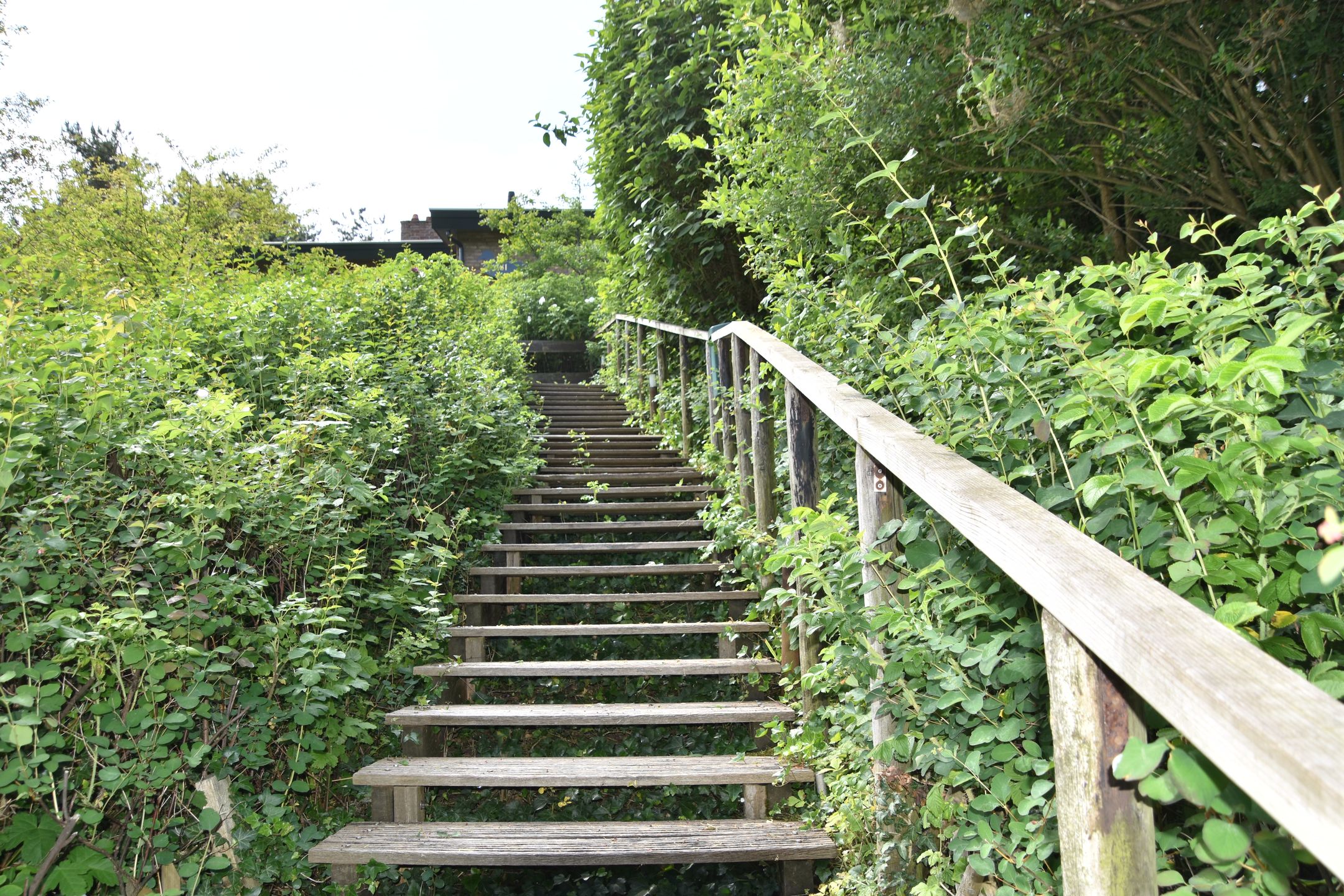 Photo 12 of Dr Wiardi Beckmanlaan 81