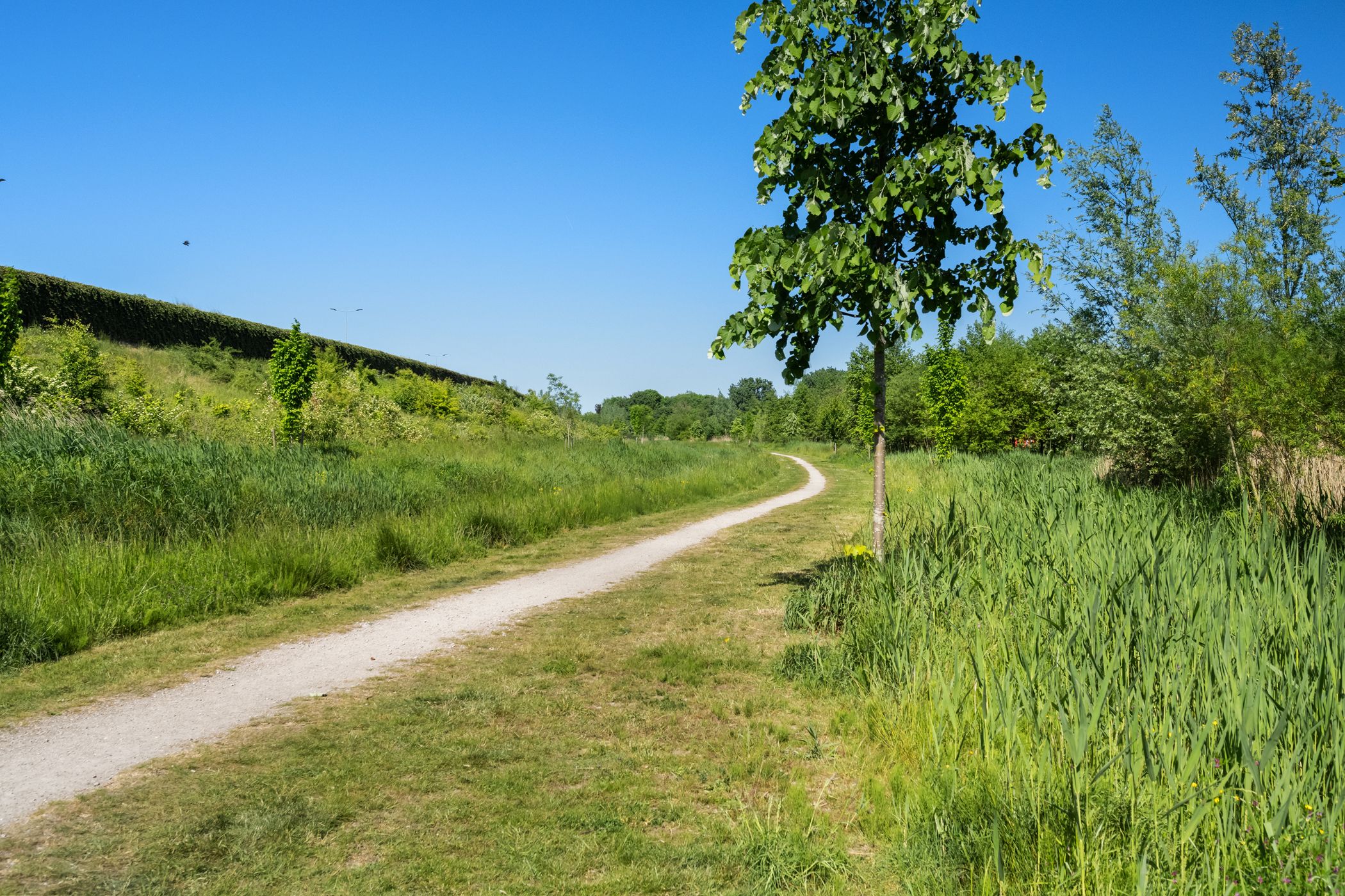 Foto 33 van Heerenhuis 4