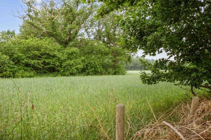 Photo 26 of Lageweg 51