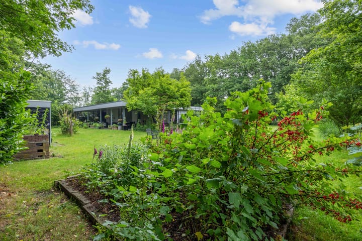 Photo 27 of Lageweg 51