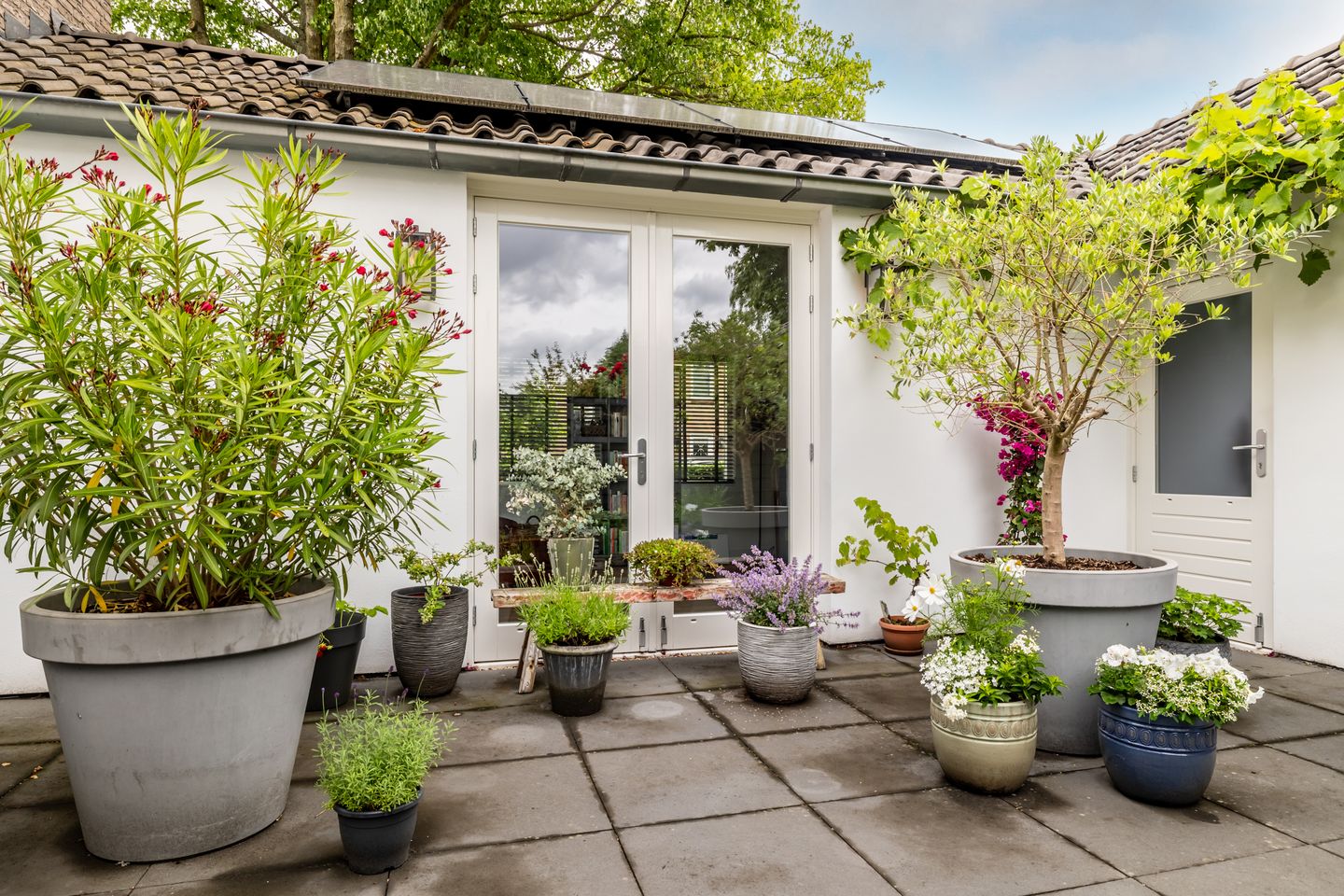 Foto 19 van Burgemeester Serrarislaan 5