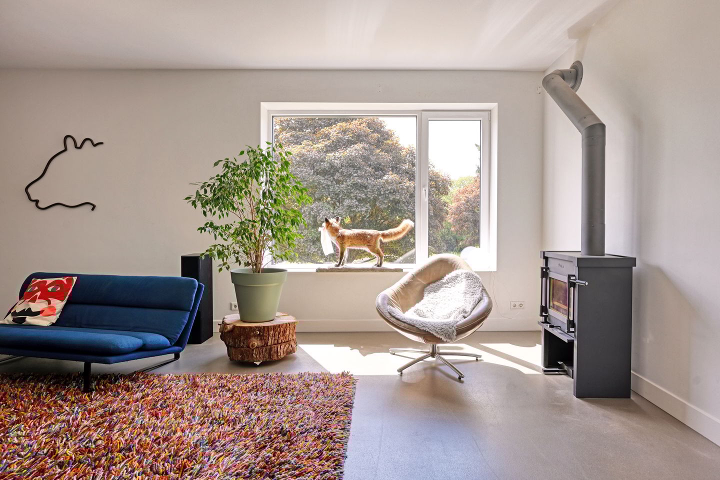 Photo 50 of Radarpad 68