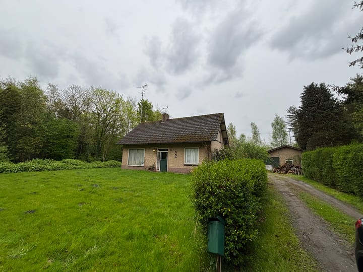 undefined main image